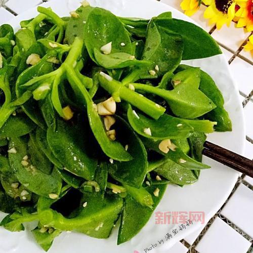 穿心莲凉拌，简单美味，清热解毒，居家必备！