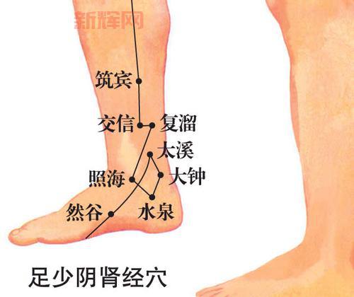 找太溪穴,内踝后方凹陷处,太溪穴位置图,帮你精准定位