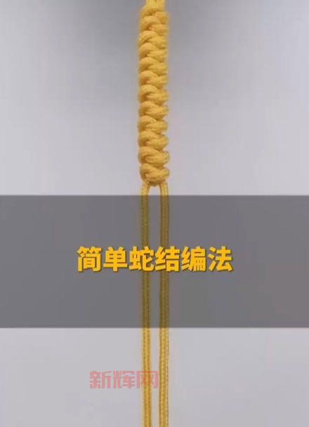 从新手到高手,蛇结编法图解全攻略,轻松掌握编织技巧!