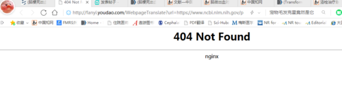 404 Not Found 常见原因及解决方法