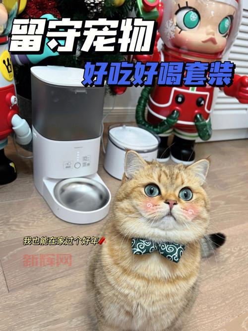 东方绯想天下载：猫咪们的福音版本，教你如何下载！