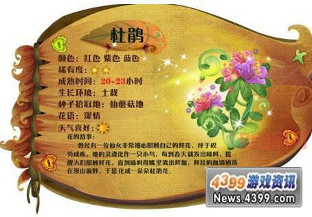 小花仙种植数量攻略:快速提升种植上限!