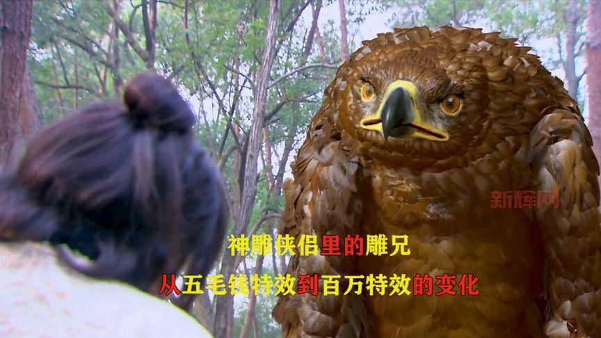 神雕侠侣白驼山庄PK加点:4内1敏或3内2敏,谁才是你的最佳选择?