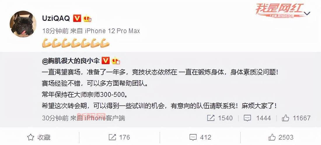 伞皇恋情揭秘：电竞圈热议的甜蜜故事