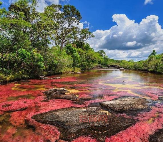发现液态彩虹：五色河的神奇色彩与奥秘