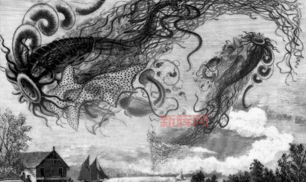 神奇怪物在哪里:探索神秘生物的奇幻之旅