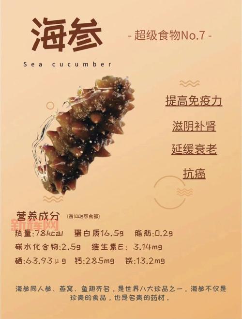 会夏眠的海洋生物:揭开海参的神秘面纱