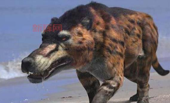 不只是传说，达摩克利斯之剑如今警示着什么？