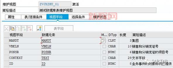 SM30批量导入教程：ABAP开发人员必备技巧