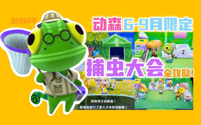 3DS动物之森游戏攻略、玩法及联机乐趣全解析