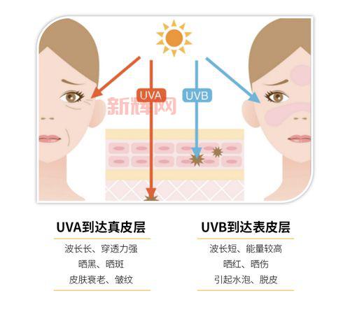 UVA与UVB的区别:为什么UVA防护更重要?