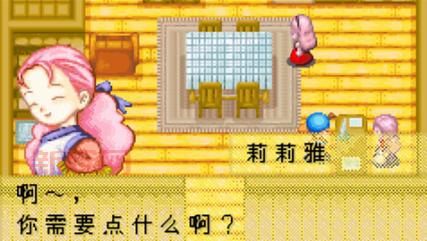 PSP牧场物语蜜糖村与村民们的愿望金手指作弊码分享与使用技巧