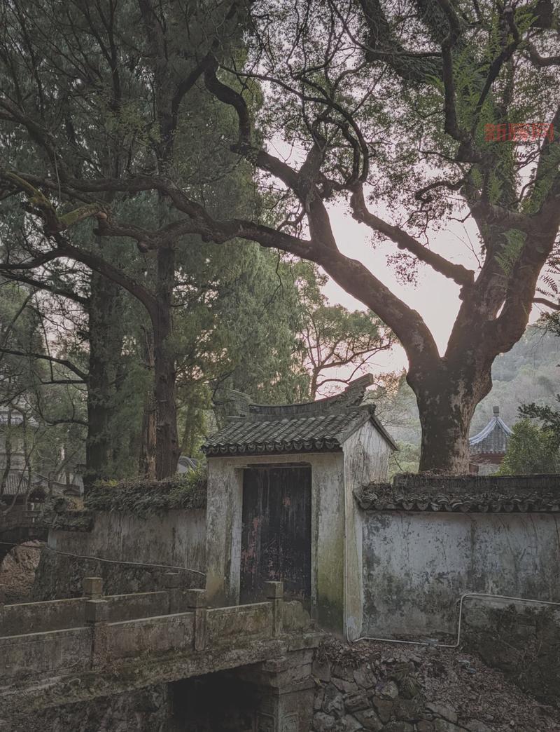 s23赛季结束时间大揭秘，你想知道的都在这里！