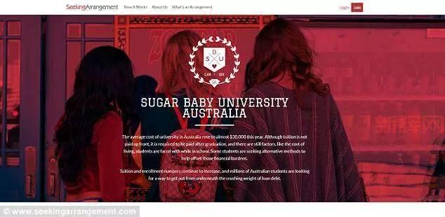 「Seeking Arrangement使用指南：如何找到你的理想安排