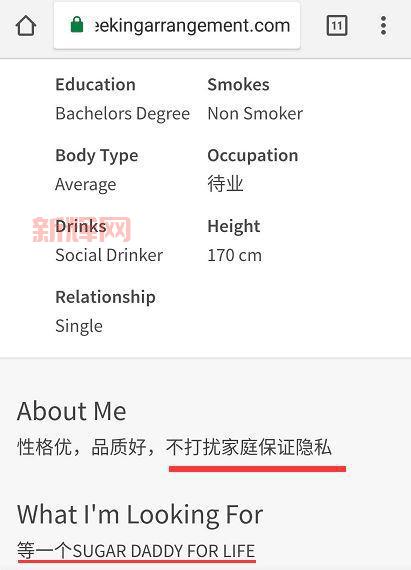 「Seeking Arrangement使用指南：如何找到你的理想安排
