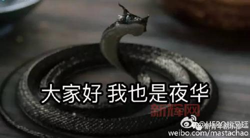 邪恶玄武技能搭配终极指南,平民玩家也能逆袭!