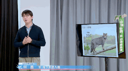 邪恶玄武技能搭配终极指南,平民玩家也能逆袭!