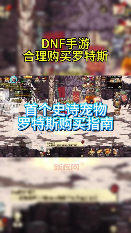 dnf宠物进化没任务了怎么办？教你轻松搞定宠物进化！