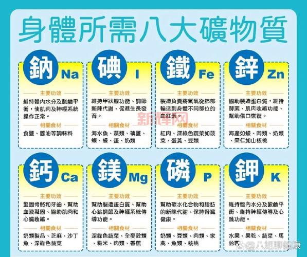 什么是矿物质?全面解析人体必需的营养元素