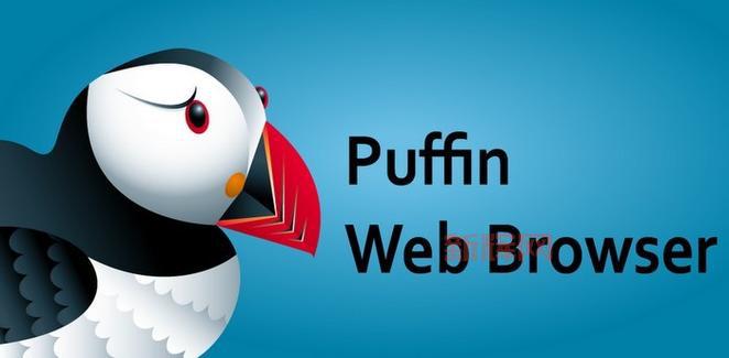 puffin浏览器官方网站,老司机都在用的极速浏览器,你确定不试试?