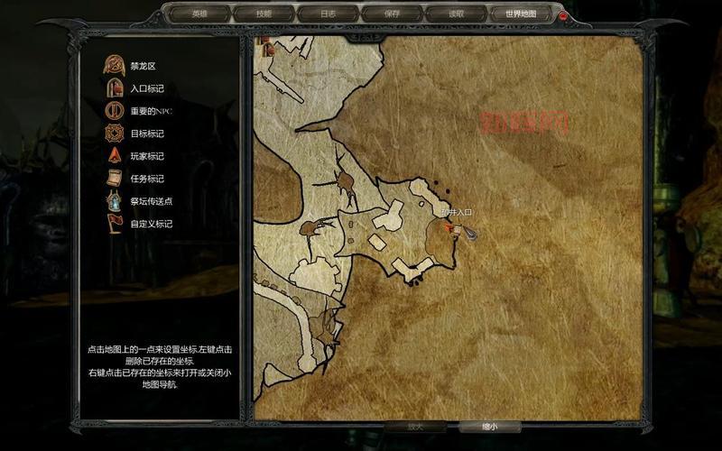 神界2攻略:角色属性加点与技能搭配详解