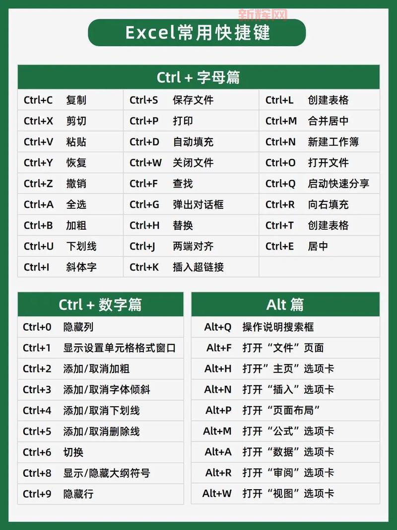 2010技巧：快速掌握Excel与Word的高效操作方法