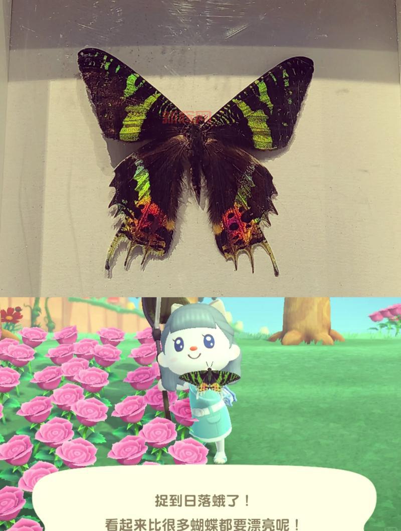 2022年国庆套爆料来啦!蝴蝶主题时装外观大揭秘