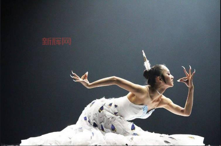 18禁男无遮挡免：惊艳视听的韩国动作成人秀