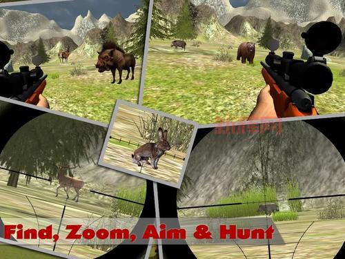 3D打猎2010：全球狩猎体验，挑战你的射击技巧