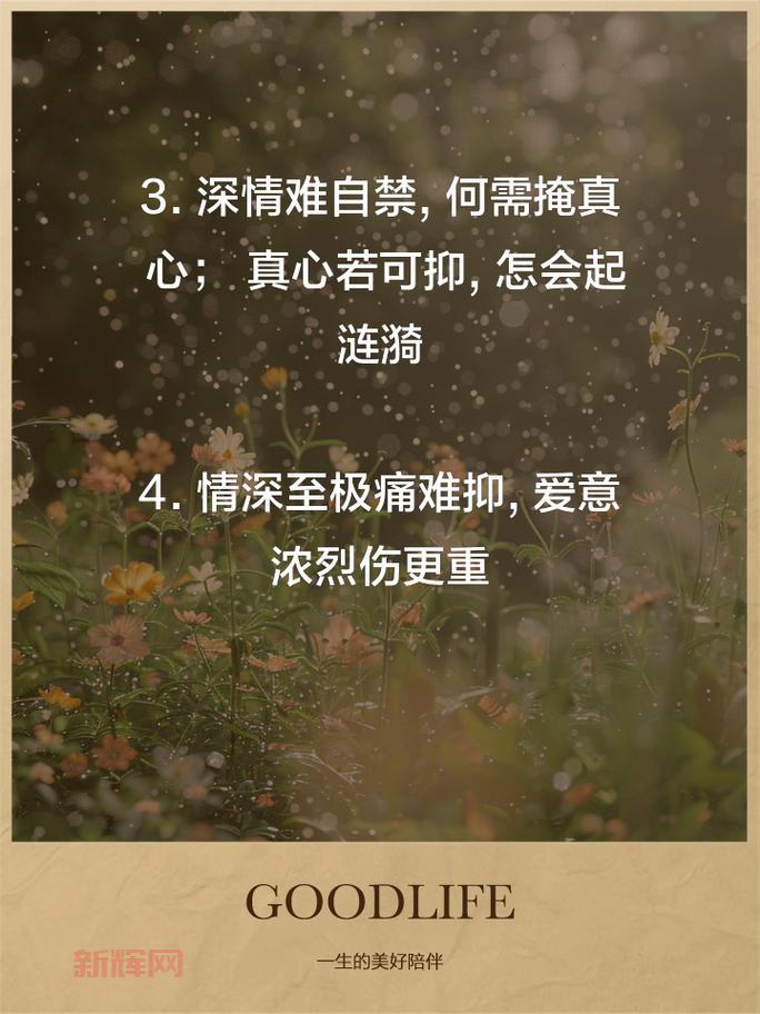 当情到深处：揭开深情背后的故事