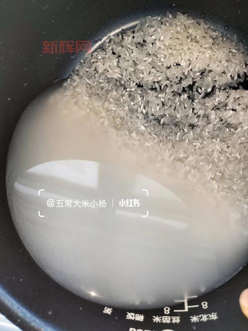 别再用热水淘米啦！教你用什么水淘米才能保住营养！