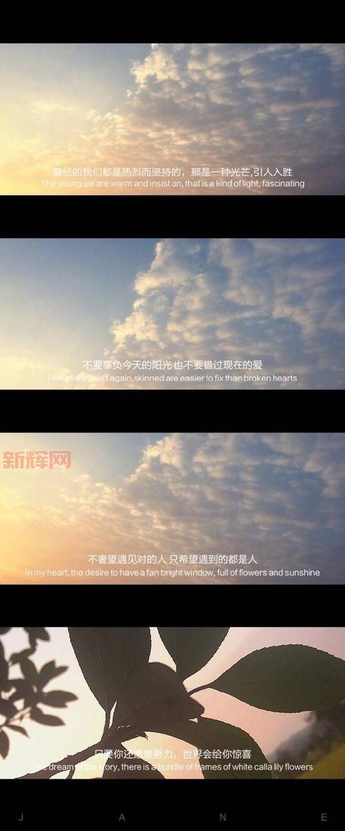 “我很抱歉，生而耀眼”是什么意思？这句话背后有深意！