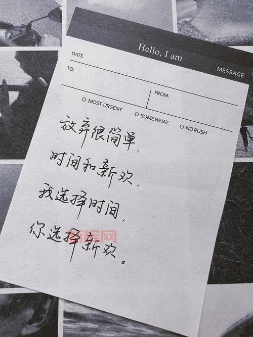 “我很抱歉，生而耀眼”是什么意思？这句话背后有深意！