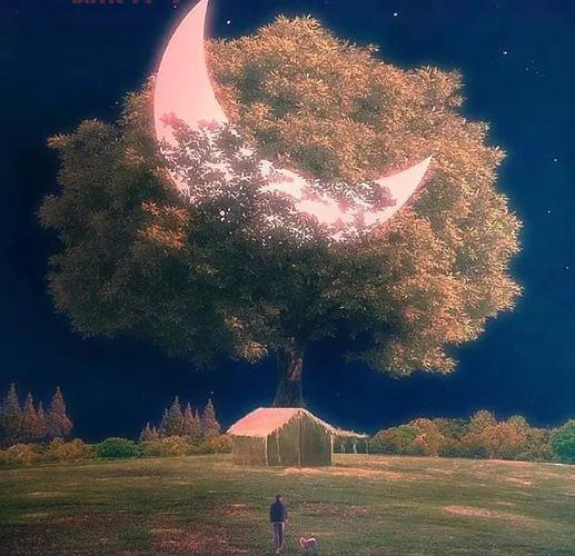 “我很抱歉，生而耀眼”是什么意思？这句话背后有深意！