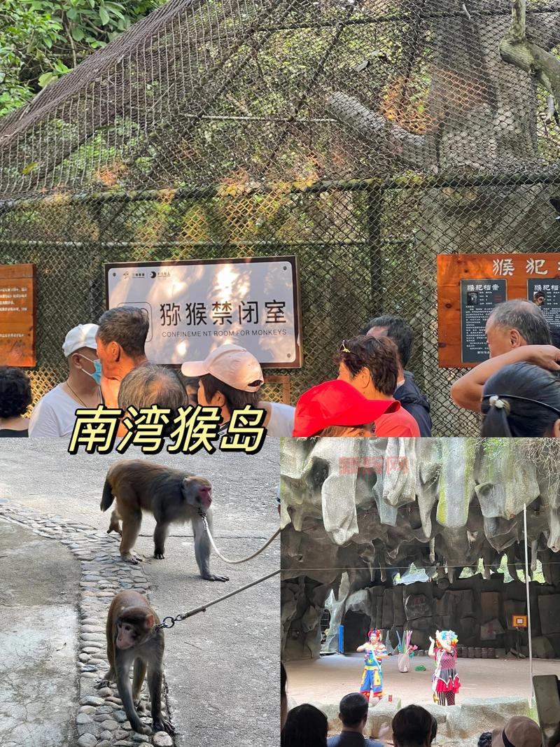 猴岛游戏攻略：解锁隐藏宝藏与冒险秘密