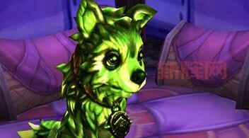 wow战斗宠物1-25级怎么快速升级？老玩家分享经验！