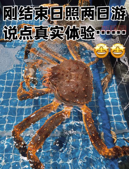 999游戏好玩吗?骨灰级玩家分享真实体验!