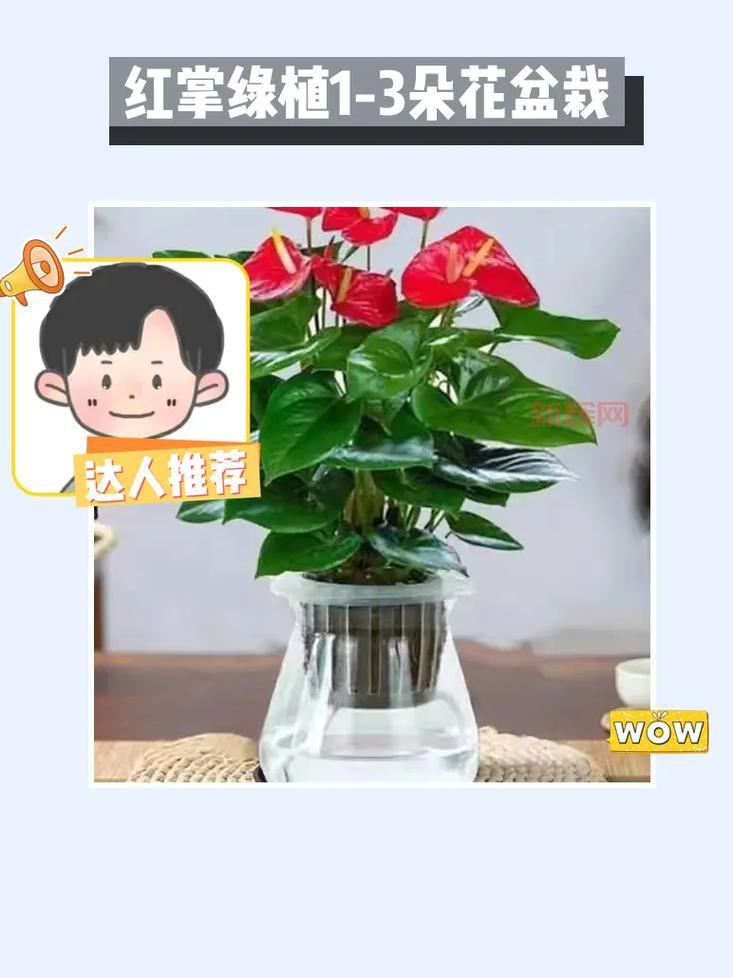 看门狗1中文设置方法详解,小白也能轻松搞定!