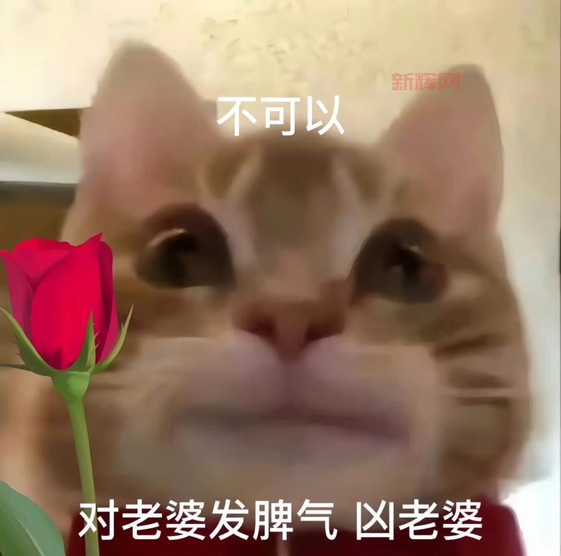 开心密室逃脱逃出鬼屋1详细攻略:每个关卡步骤详解包你过