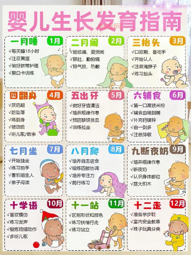 小的发育全套图：新手爸妈必知的宝宝成长图解