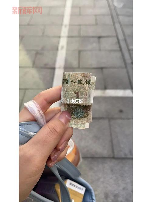 蜀黍一词的多重含义与用法详解