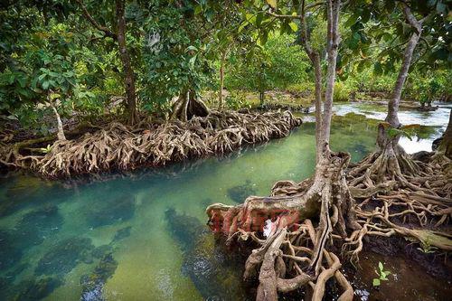 揭开螳螂高原稀有生态的神秘面纱
