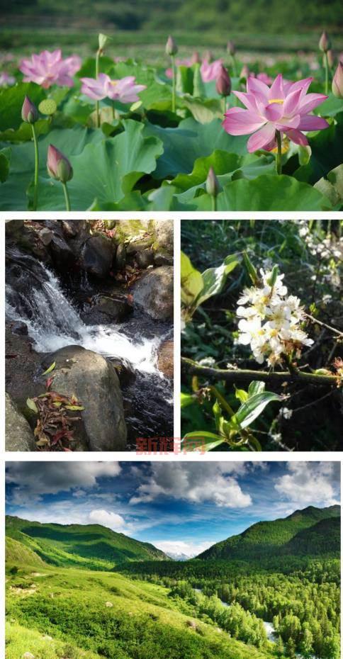 揭开螳螂高原稀有生态的神秘面纱