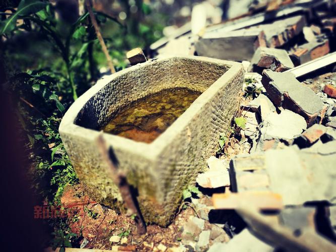 在遗落世界中重拾失落的文明与希望