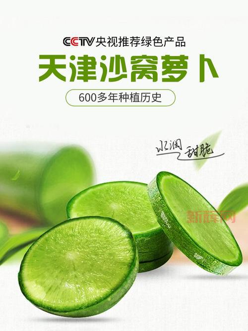 沙窝萝卜的原产地与历史：天津的绿色传奇