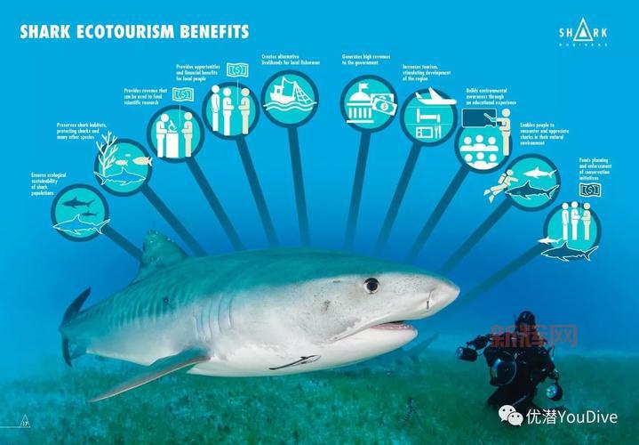 探讨海洋污染的根源:人类活动如何导致海洋生态失衡