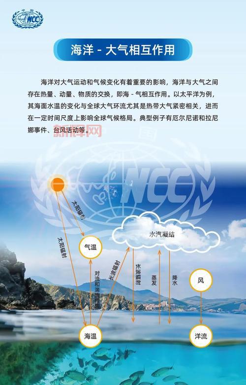 探讨海洋污染的根源：人类活动如何导致海洋生态失衡