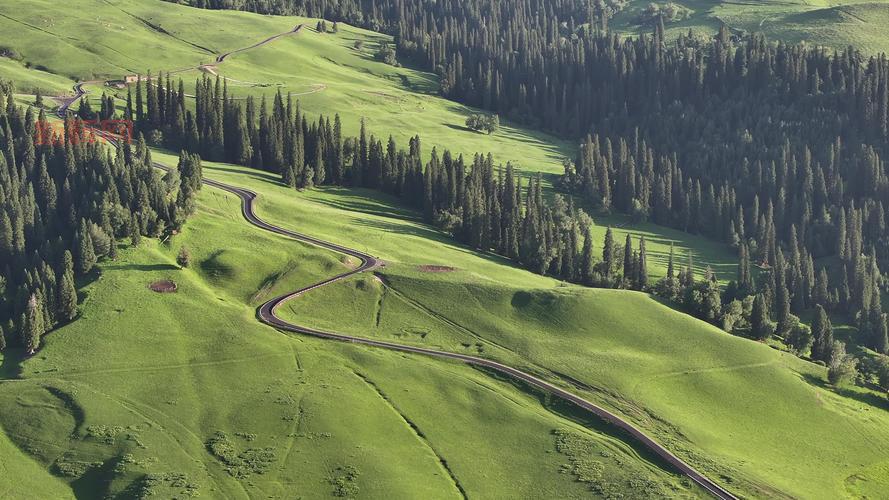 我的世界村庄探索指南：获取资源与村民互动小窍门