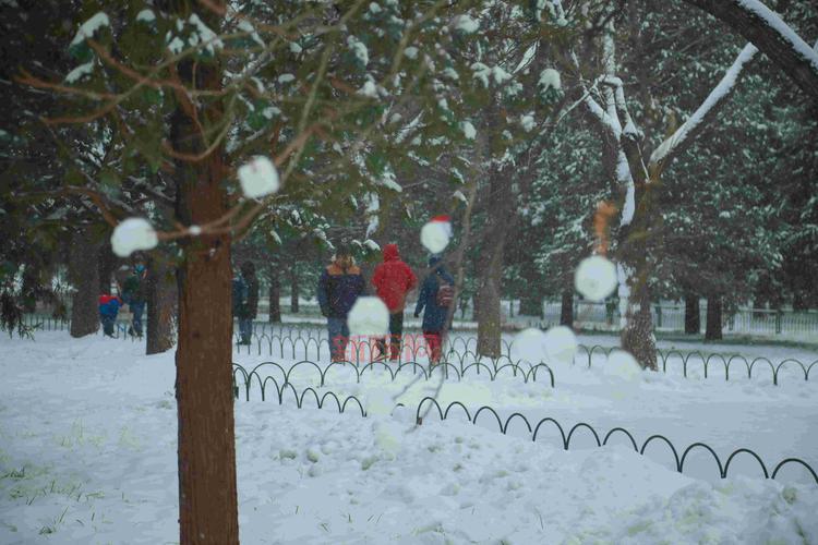 点卡回归可能性分析:暴雪最新动态及其影响