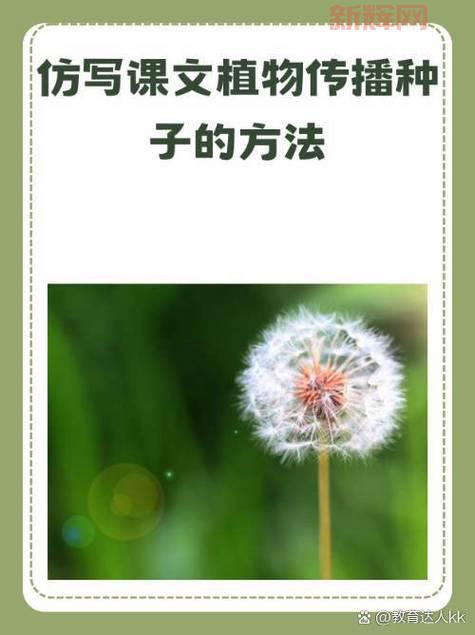 柳树种子传播方式揭秘：风、动物和蚂蚁的助力